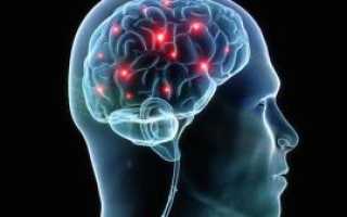 Нейроцистицеркоз — паразиты, которые «сжирают» мозг