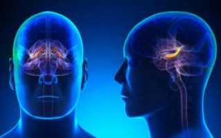 Сосудистая энцефалопатия головного мозга: причины, симптомы, лечение