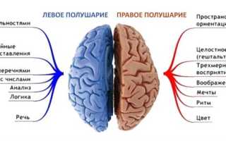 Симптомы, лечение и последствия инсульта левой стороны мозга