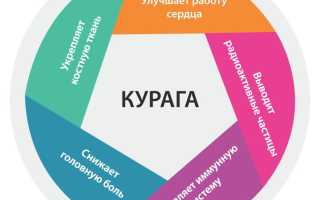 Витамины в кураге