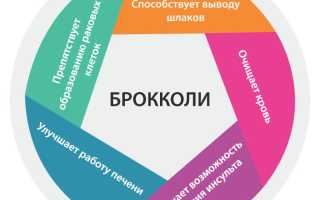 Витамины в брокколи