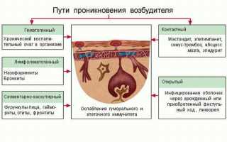 Менингит не щадит ни взрослых ни детей: симптомы, причины и лечение